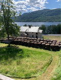 Lot 3 — Réserve au bord du lac