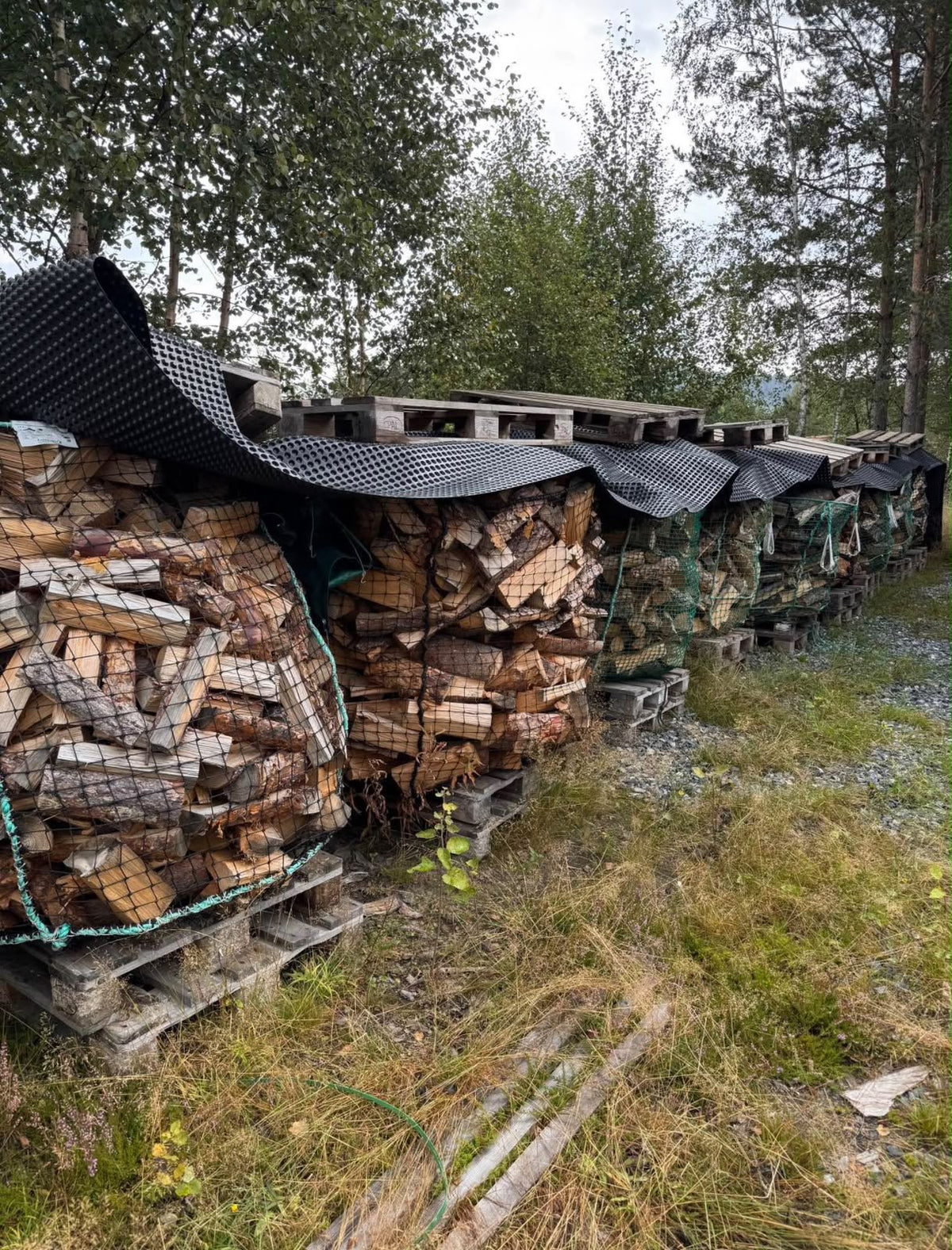 Lot 3 — Réserve au bord du lac