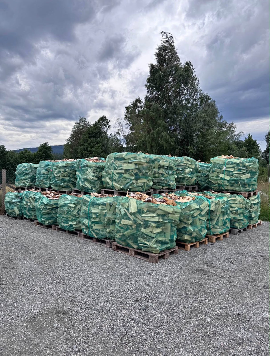 Lot 4 — Palettes de bouleau bâchées