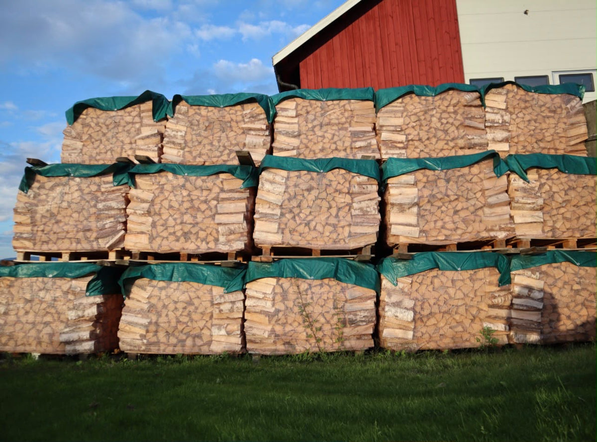 Lot 4 — Palettes de bouleau bâchées